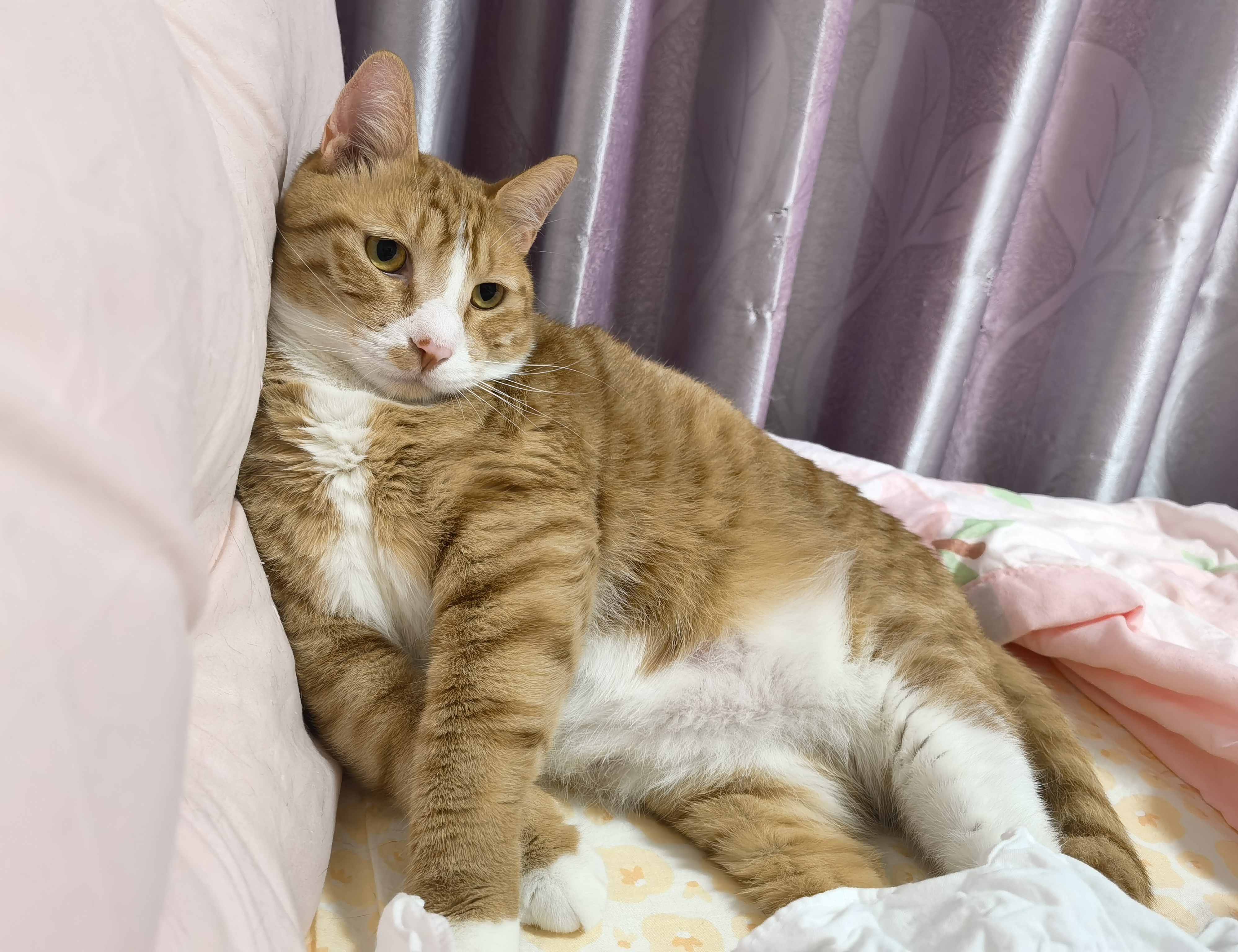 閰嶇數缃戦珮璐噺鍙戝睍-九游娱乐体育